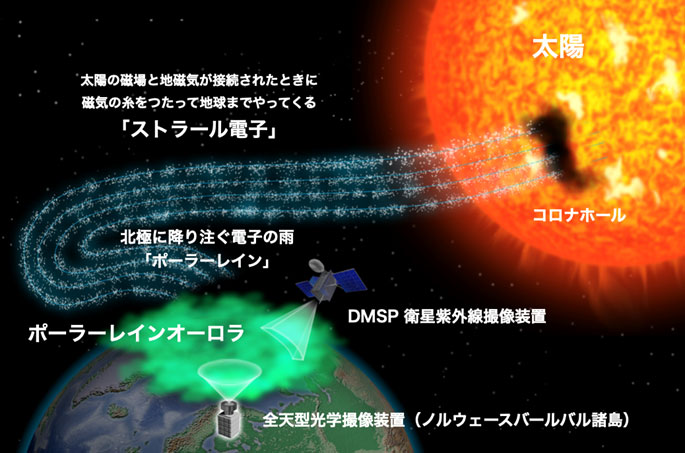 文章を入れてください