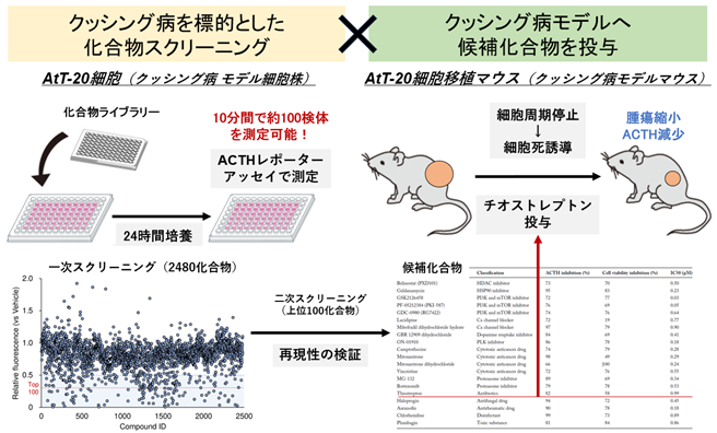 文章を入れてください