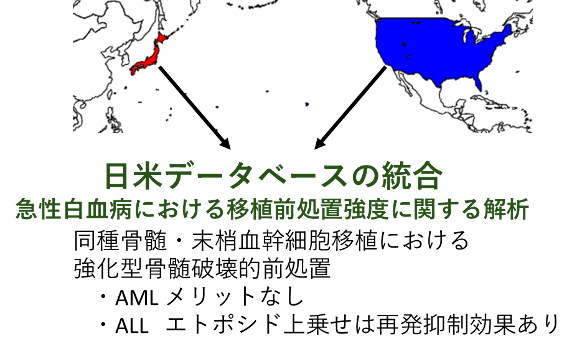 急性白血病における適切な移植前処置強度の同定～日米データベースを用いた国際共同研究～