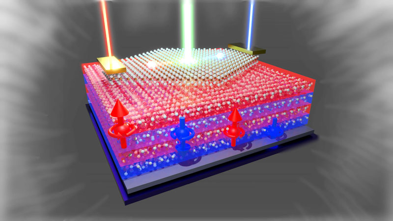 二次元半導体ヘテロ界面における磁気バルク光起電力効果の実証～量子力学的な効果を利用した太陽電池デバイスへの新たな設計指針～