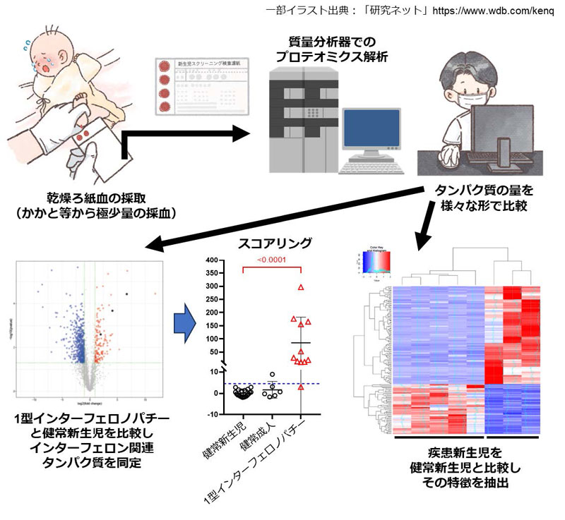1型インターフェロノパチーの超早期診断～ろ紙血プロテオミクスによる新規診断法開発～