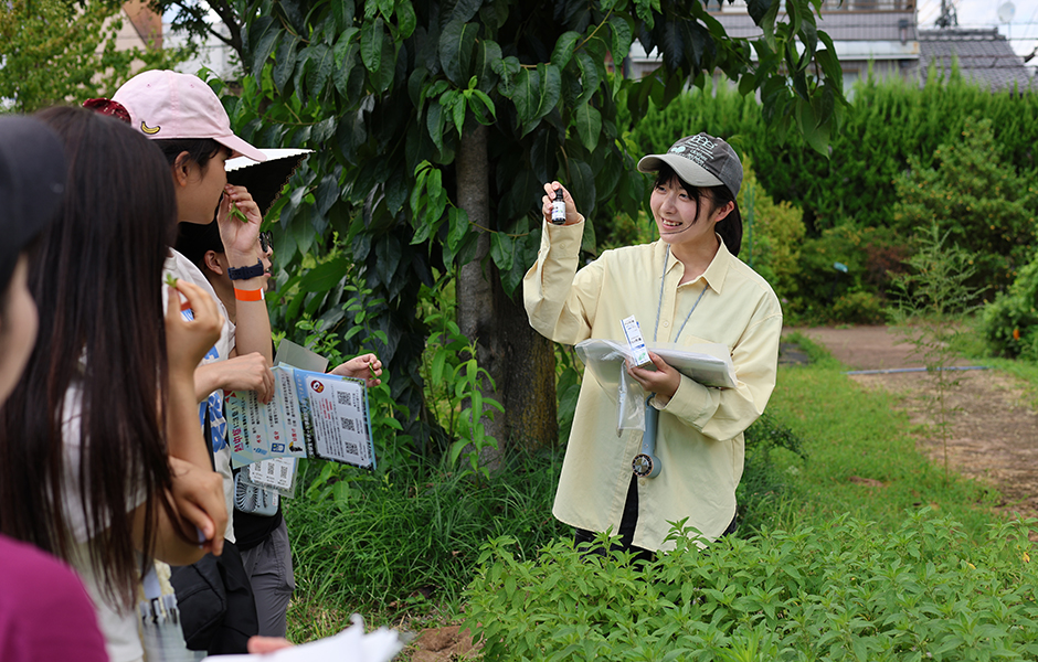 文章を入れてください