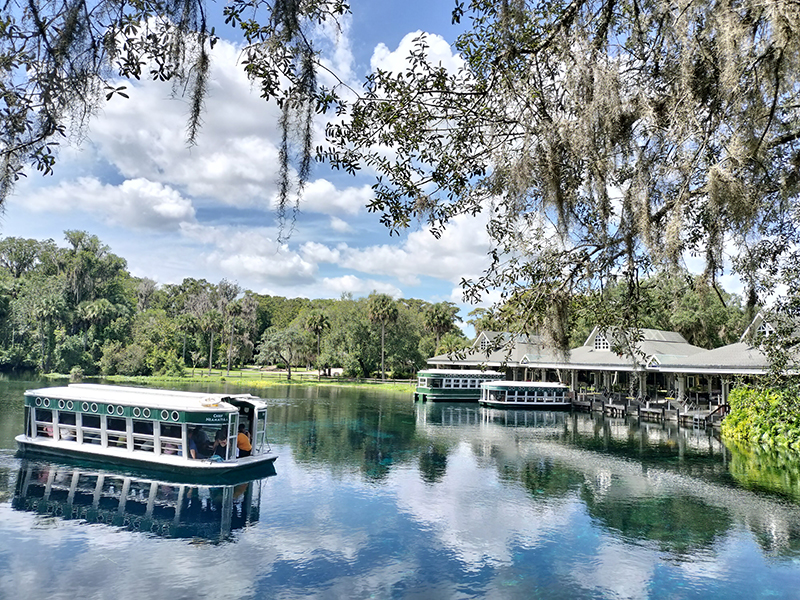 文章を入れてください