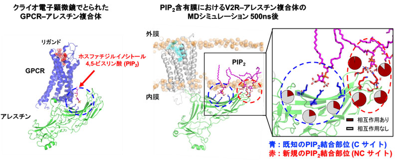 文章を入れてください