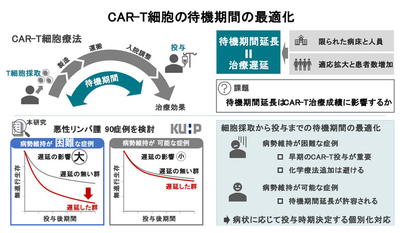 CAR-T治療、スピードが鍵～CAR-T細胞療法の待機期間をどう調整するかのヒントを発見～