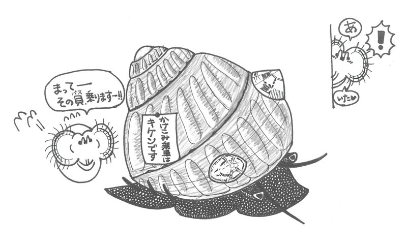幼生は知っている～動物体表性カサガイの浮遊幼生に見られた着底基質選好性～