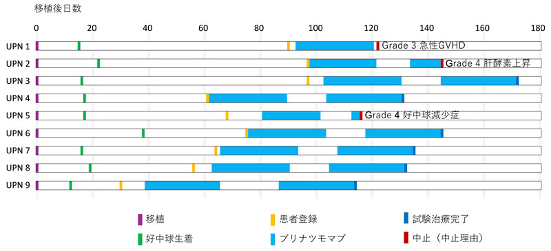 文章を入れてください