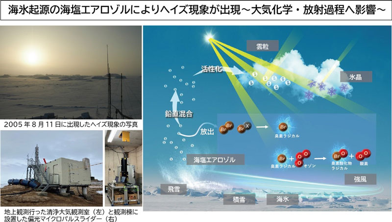 文章を入れてください