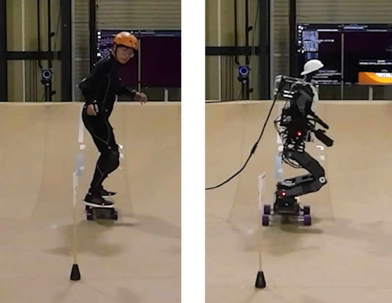 文章を入れてください