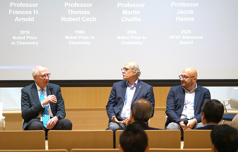 文章を入れてください