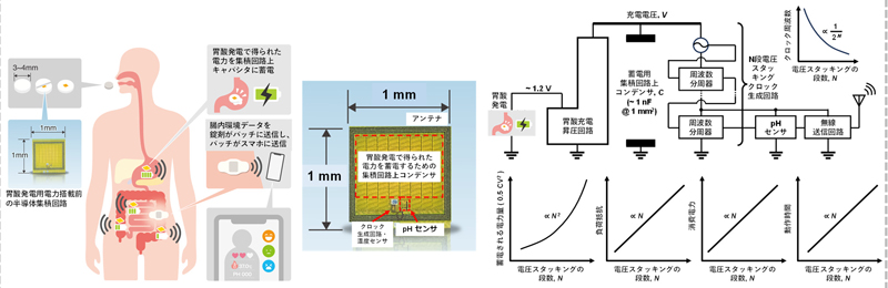 腸内環境モニタリング機能付きデジタル錠剤に向けた胃酸充電半導体集積回路の開発に成功～65nm CMOSで実証、消化器官内の温度・pHモニタリングに目途～