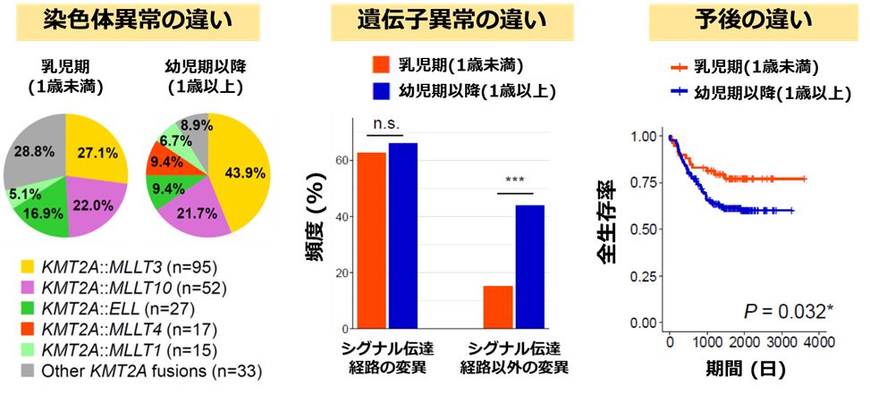乳児期と幼児期以降で異なる白血病の特徴～小児急性骨髄性白血病の年齢別解析で新知見～
