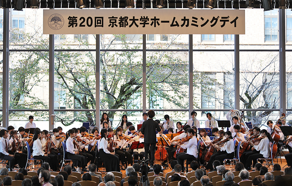 文章を入れてください