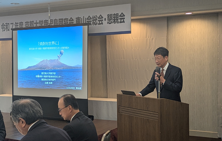 文章を入れてください