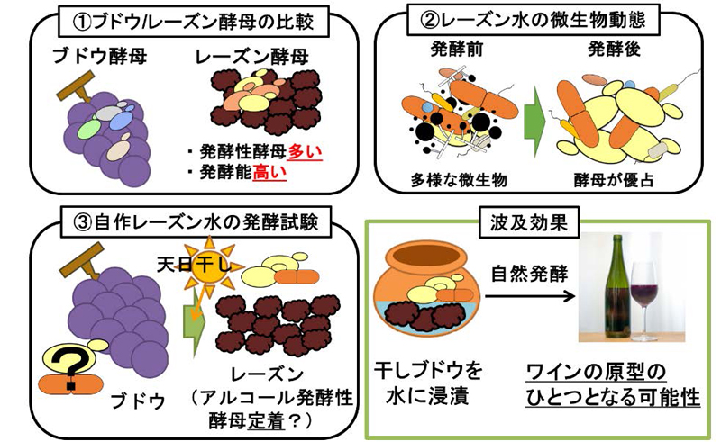 文章を入れてください