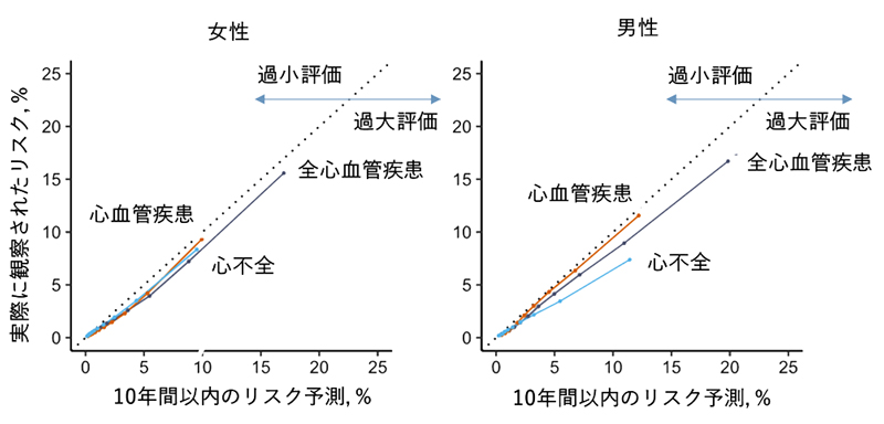 文章を入れてください