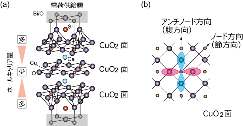 文章を入れてください