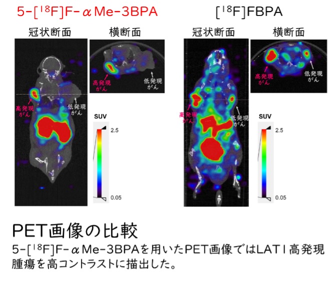 がんPETのための高コントラスト診断薬を開発～治療効果を高精度に予測可能に～