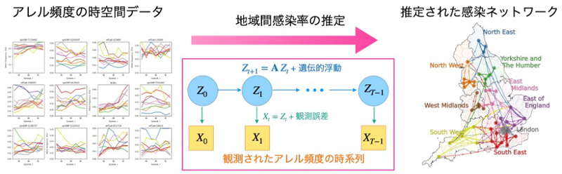 ゲノムデータから読み解くウイルス感染拡大の実態～どこからどこへ伝播したか?～