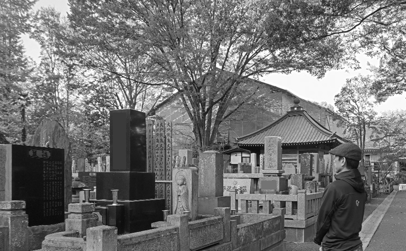 文章を入れてください