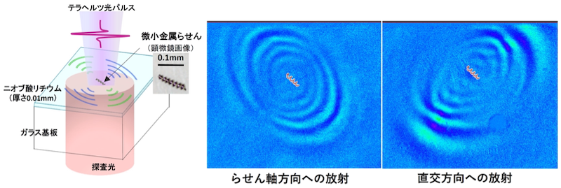テラヘルツ近接場顕微鏡による計測の概略図（左）と可視化したテラヘルツ光放射（右）