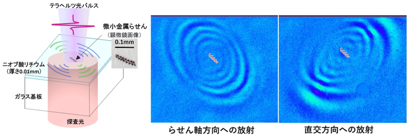 テラヘルツ近接場顕微鏡による計測の概略図(左)と可視化したテラヘルツ光放射(右)