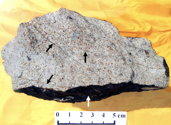 ポワリエライトのX線構造解析に用いた随州隕石の標本