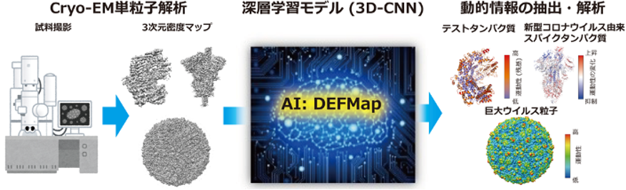 本研究の概要図