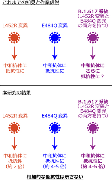 本研究の概要図