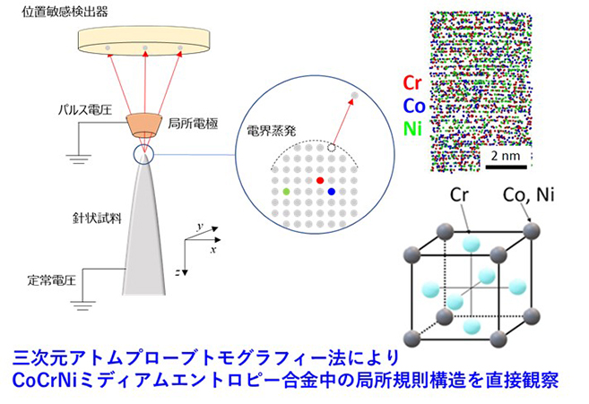 三次元アトムプローブトモグラフィー法によって直接観察されたCoCrNiミディアムエントロピー合金中の元素分布と局所規則構造