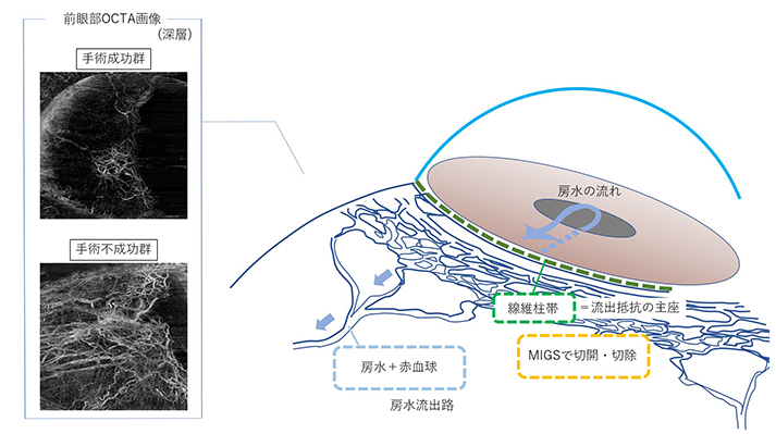 本研究の概要図