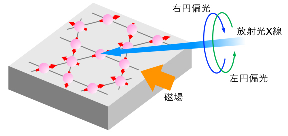 大きな熱電効果を示す反強磁性体Mn3Snのスピン配列と実験配置の模式図
