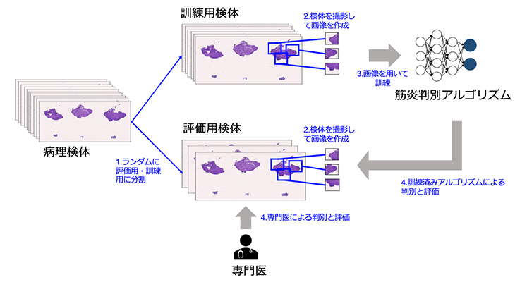 アルゴリズム開発アプローチ概要