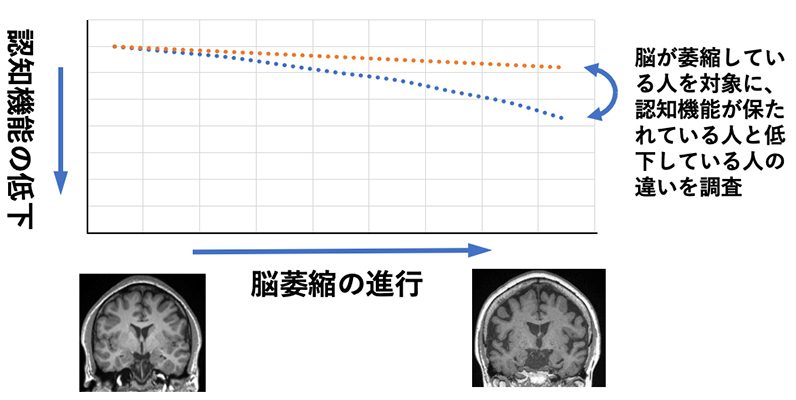 本研究の概要図