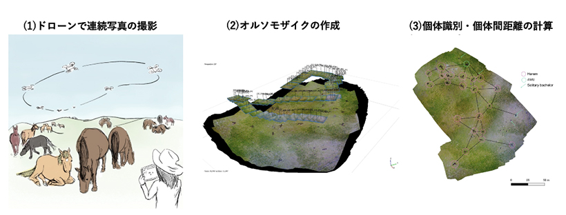 ドローンを用いた調査方法（作図：前田玉青）