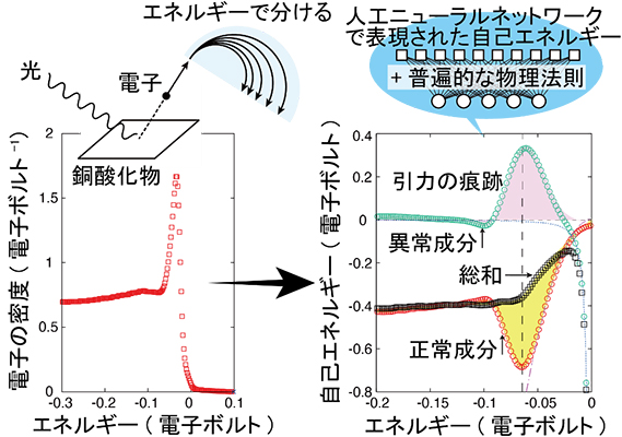 銅酸化物についての1つの光電子分光データ(左図)から、足りない情報を普遍的な物理法則で補って人工ニューラルネットワークを最適化し、自己エネルギーの2つの成分(右図)を決定
