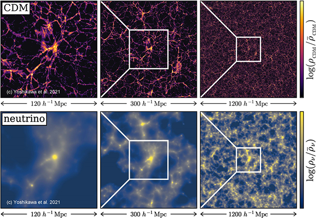 本研究の数値シミュレーションで得られた宇宙大規模構造におけるダークマター（CDM）とニュートリノの空間分布