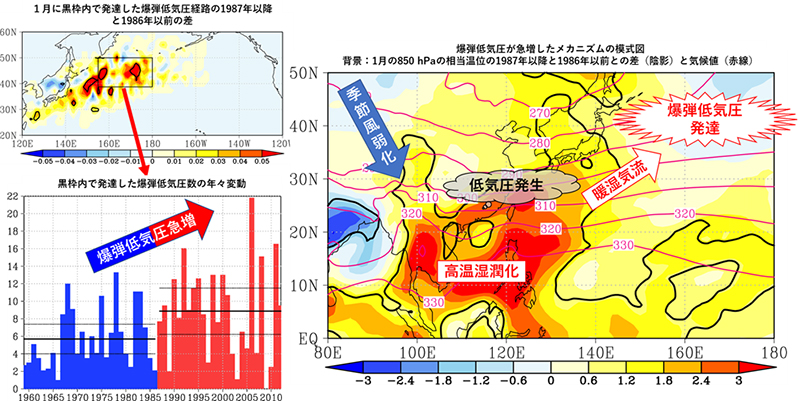 本研究の概略図