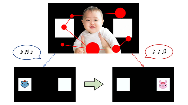 アイトラッカーを用いた注意を切り替える能力の評価. ターゲットが現れる位置をスイッチした時に、乳児が新しい位置に注意を切り替えるかどうかを調べた