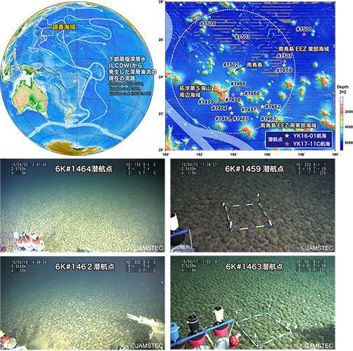 本研究の調査海域とマンガンノジュール密集域の様子