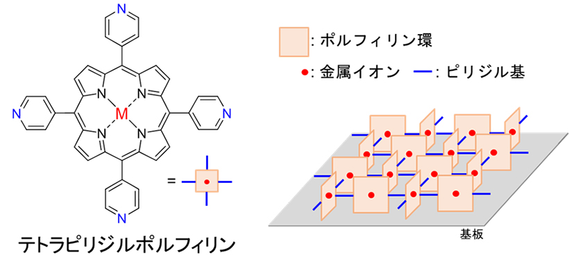 テトラピリジルポルフィリンの化学構造（左図）と本研究で実現したedge-on配向膜の模式図（右図）