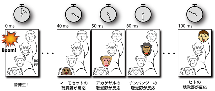 本研究の概要図