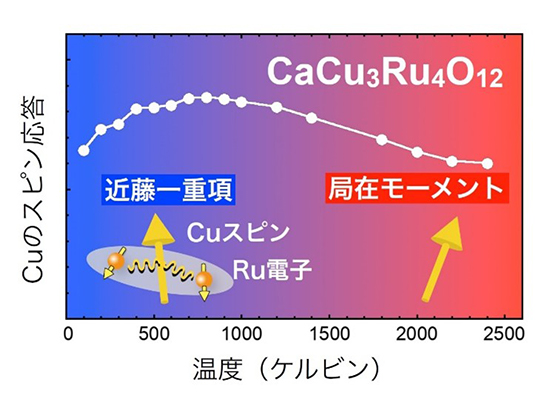 理論計算から得られた、銅（Cu）のスピン応答（縦軸）と温度（横軸）の関係。温度が下がると近藤効果が 起こり、スピン応答が減少していく様子が確認できる