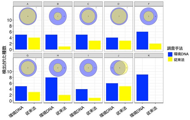 野外調査の結果、どの地域においても検出種数は環境DNA分析の方が通常の調査を上回りました