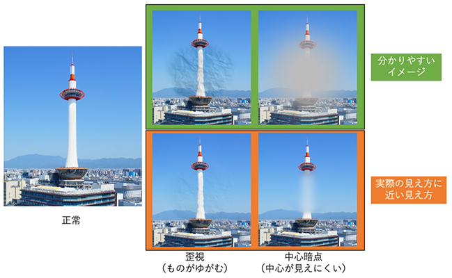 本研究の概要図