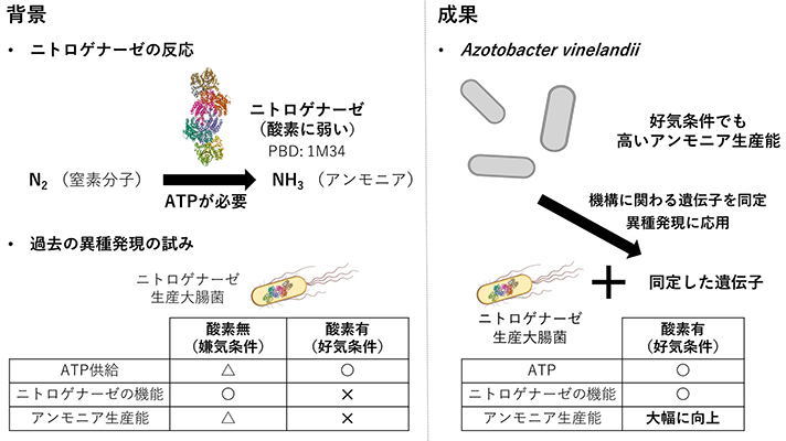 本研究の概要図