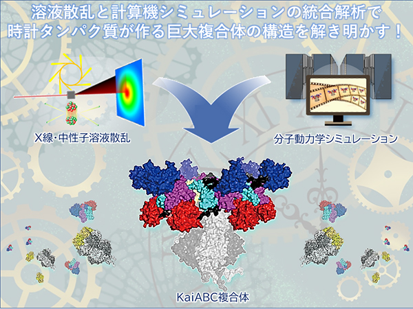 本研究の概要図