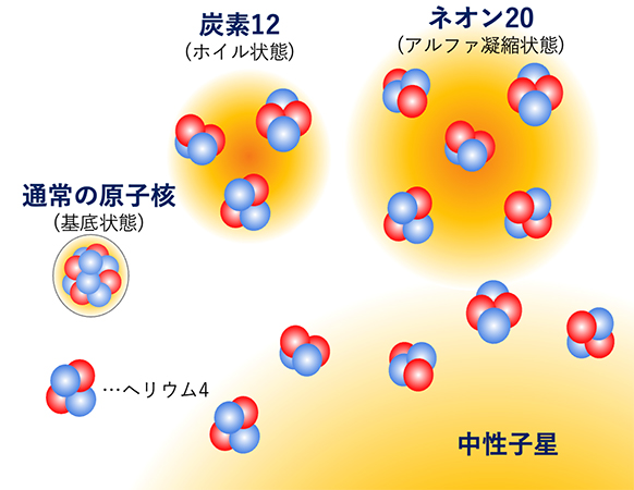 アルファ凝縮状態の概念図。赤い丸と青い丸はそれぞれ陽子と中性子を表す。