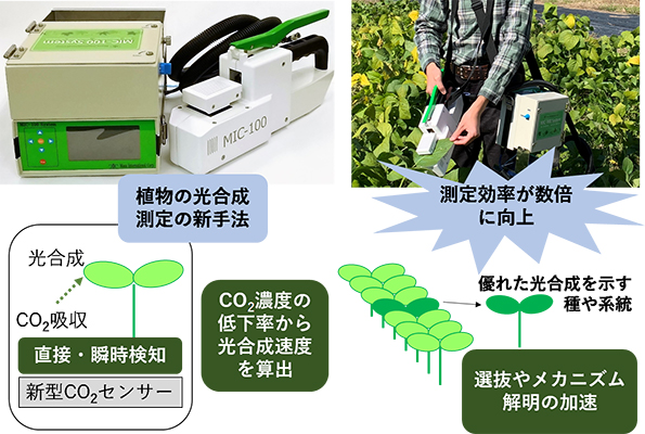 本研究の概要図