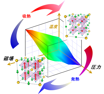 本研究のイメージ図